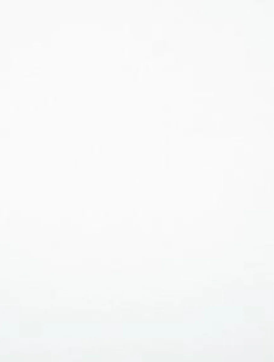 1084 Polar White