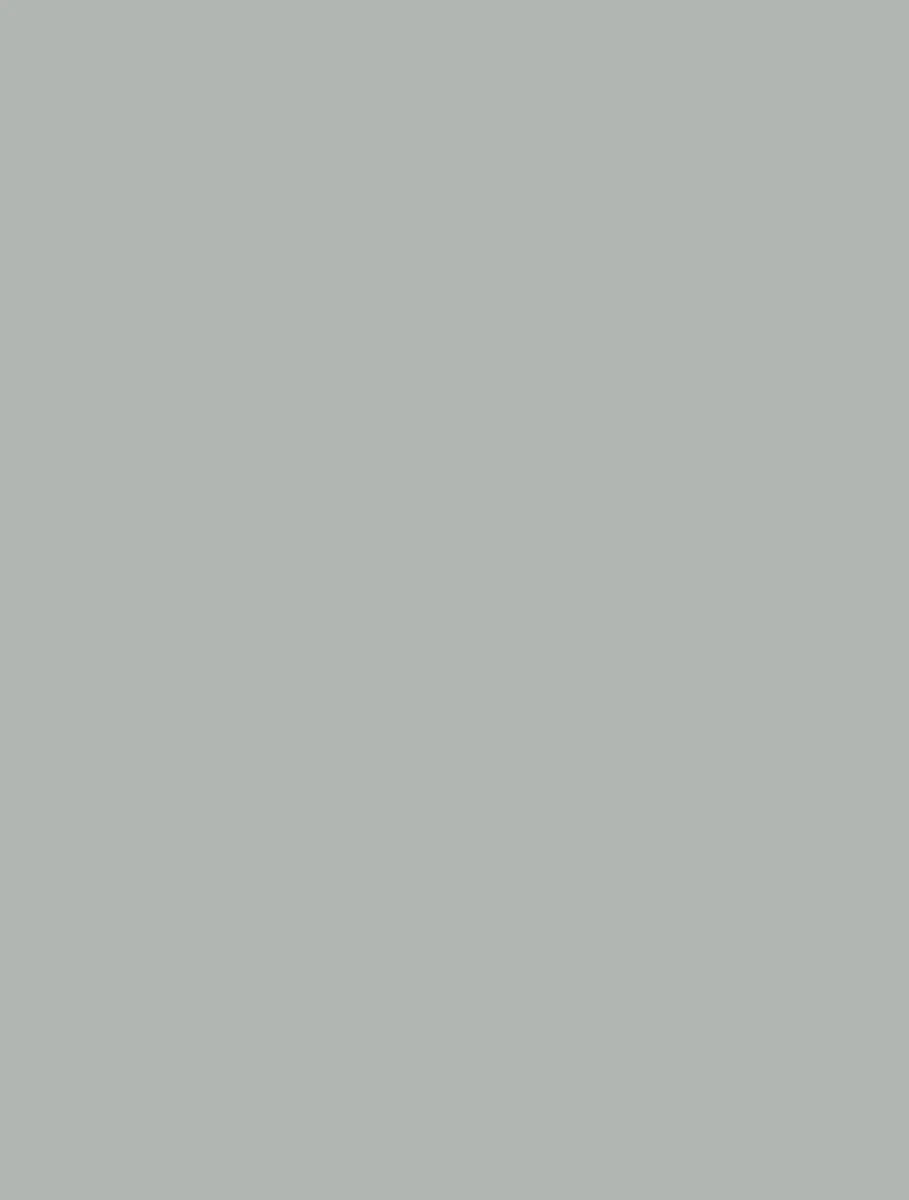1121 Grey