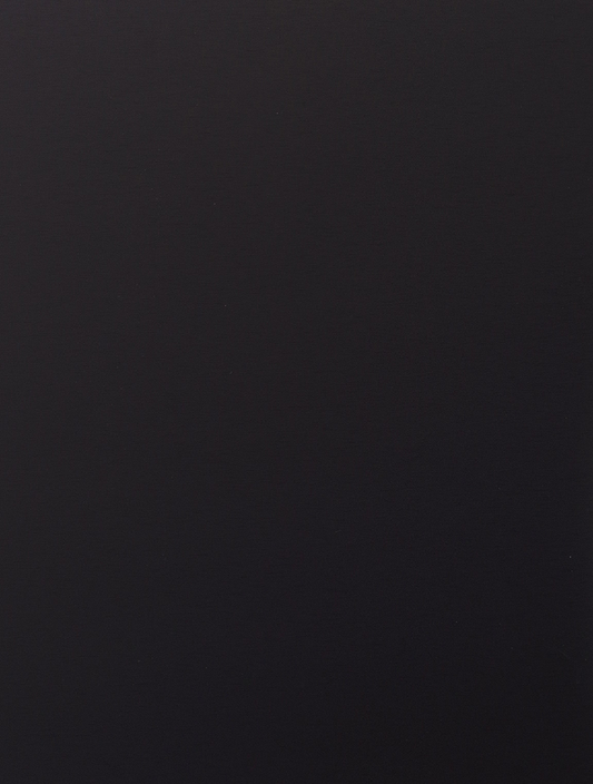 25 Black Stainless Steel