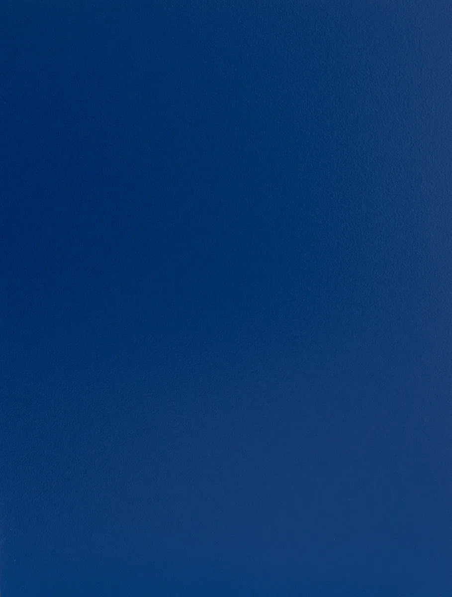 981 Royal Blue Suede