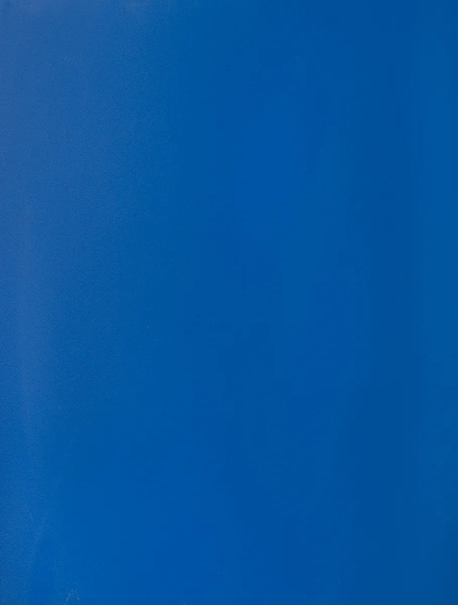 984 Cortez Blue Suede