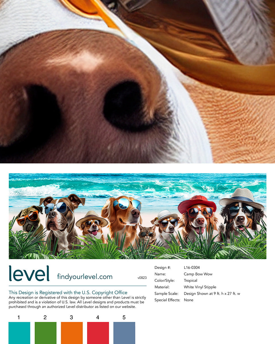 Camp Bow Wow