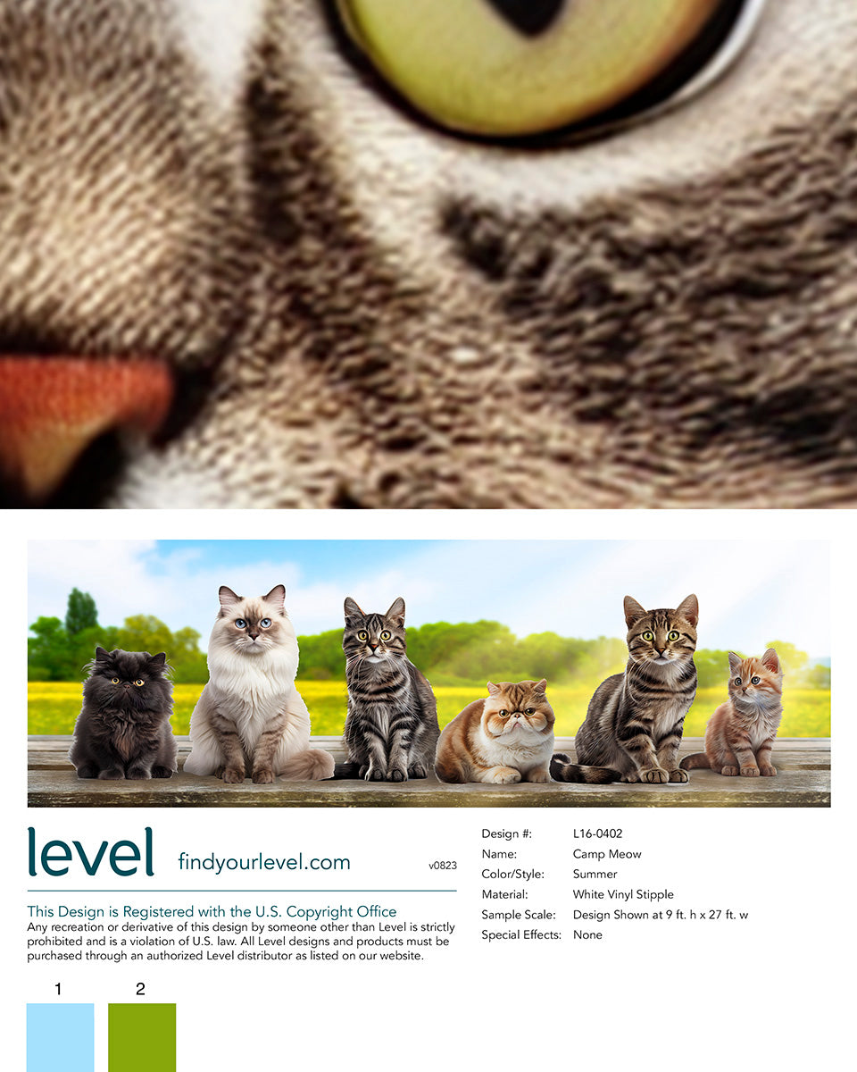Camp Meow