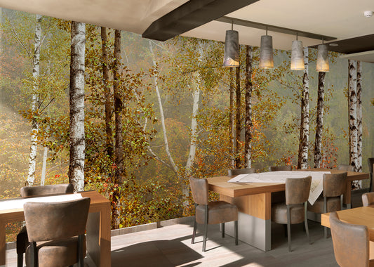 Birch Forest