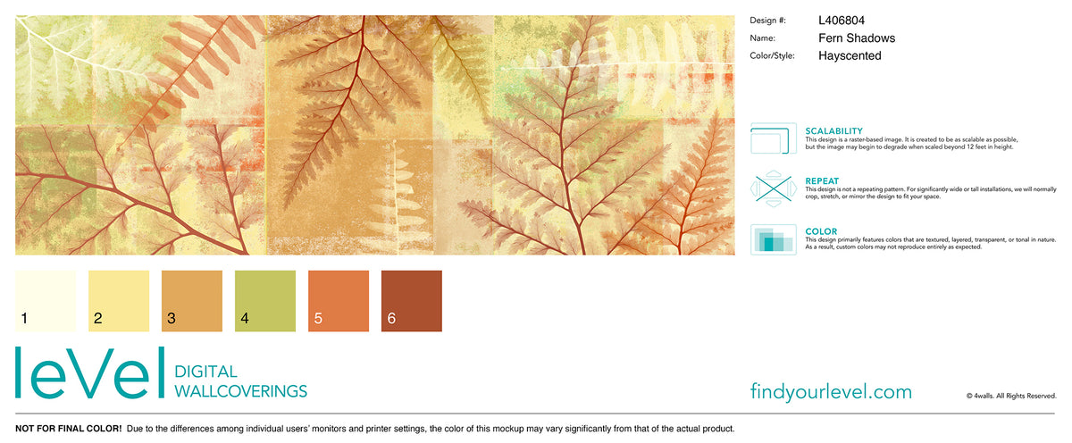 Fern Shadows