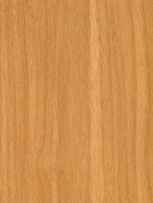 Ash 0470