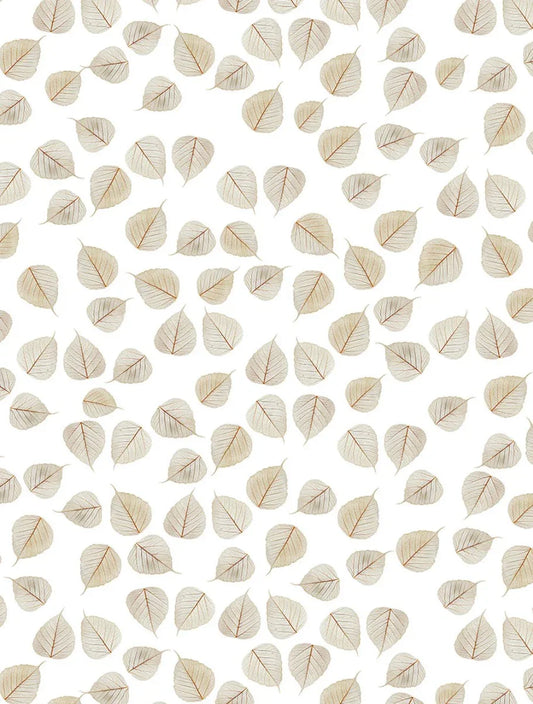 Aspen Leaves