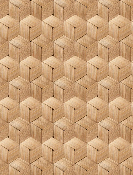 Bamboo