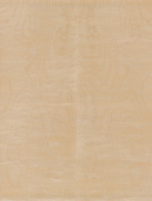 Birch, White Rotary Cut