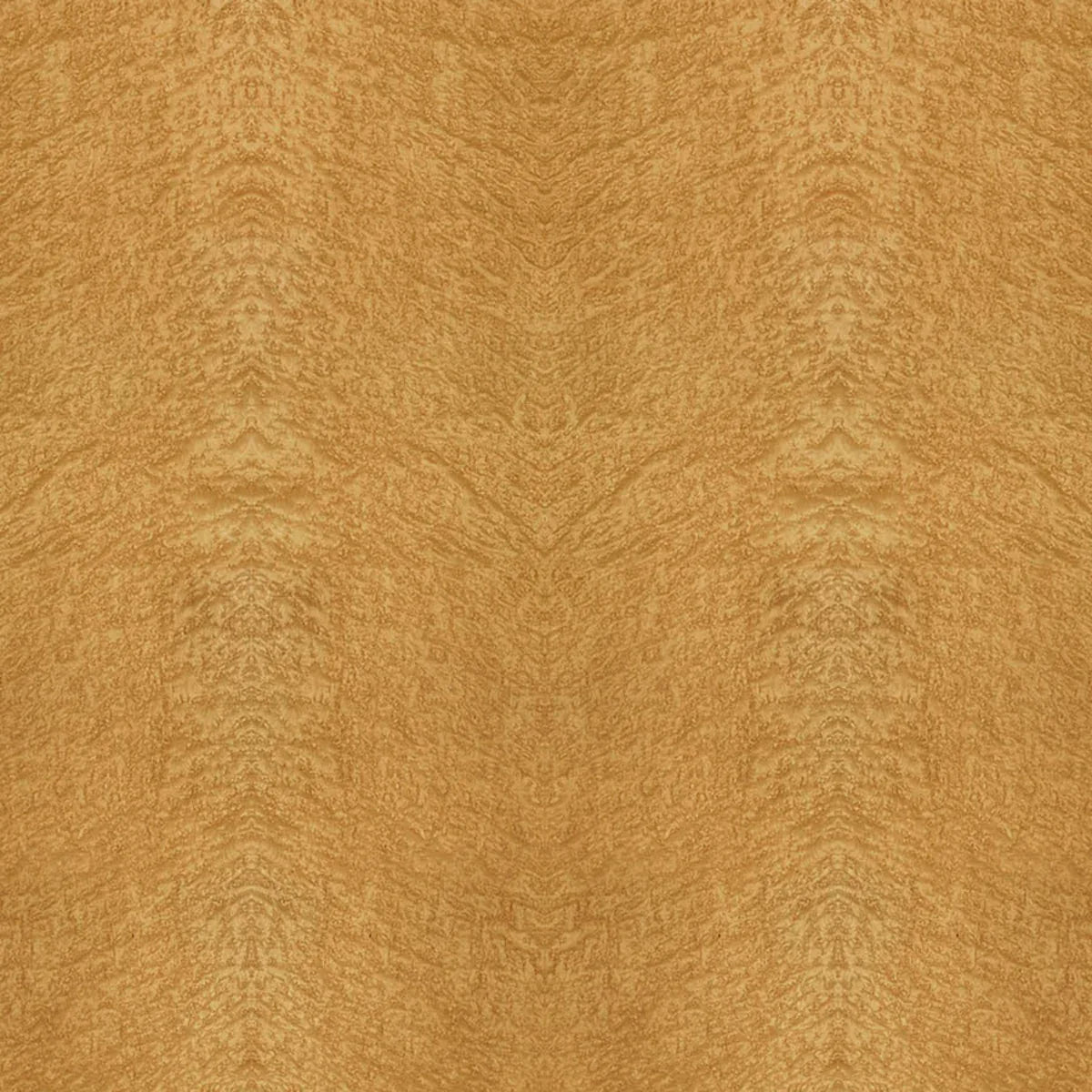 Birdseye Maple