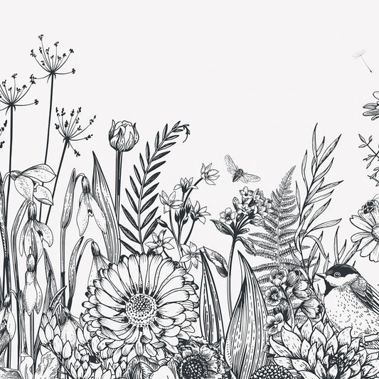 Bloom