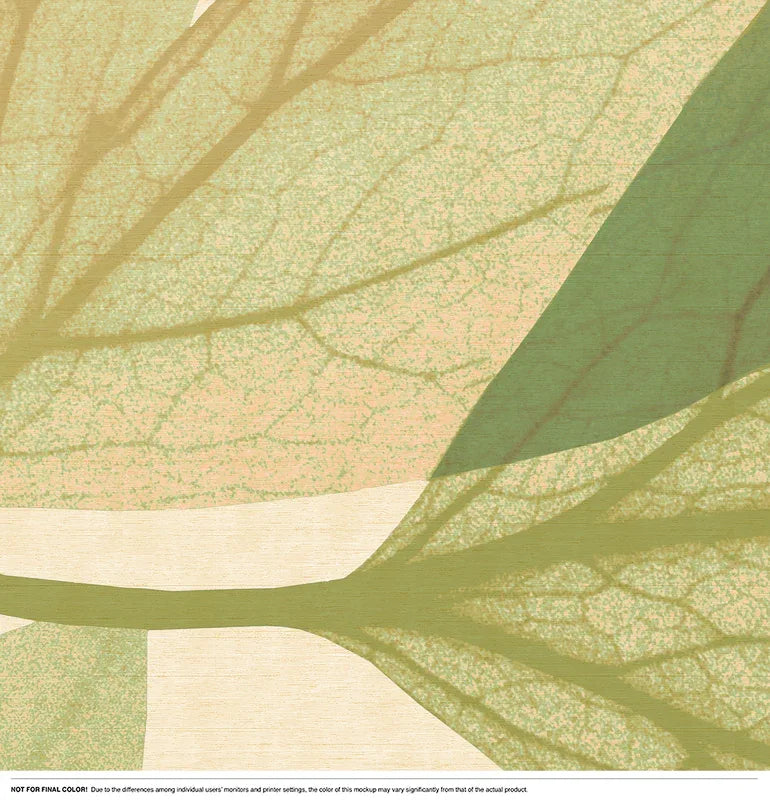 Branching Out