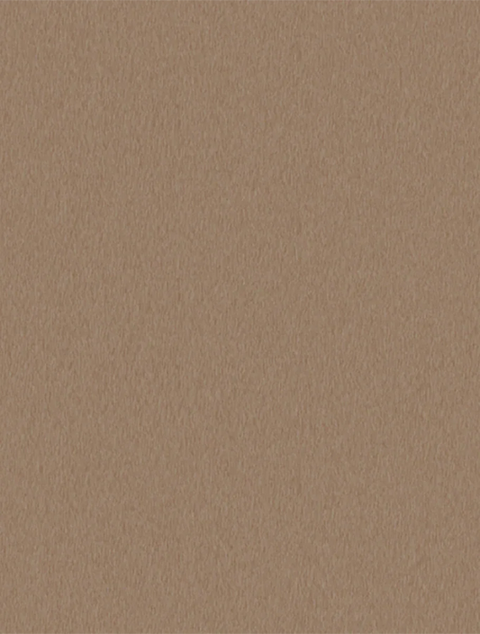 Brushed Champagne 2506