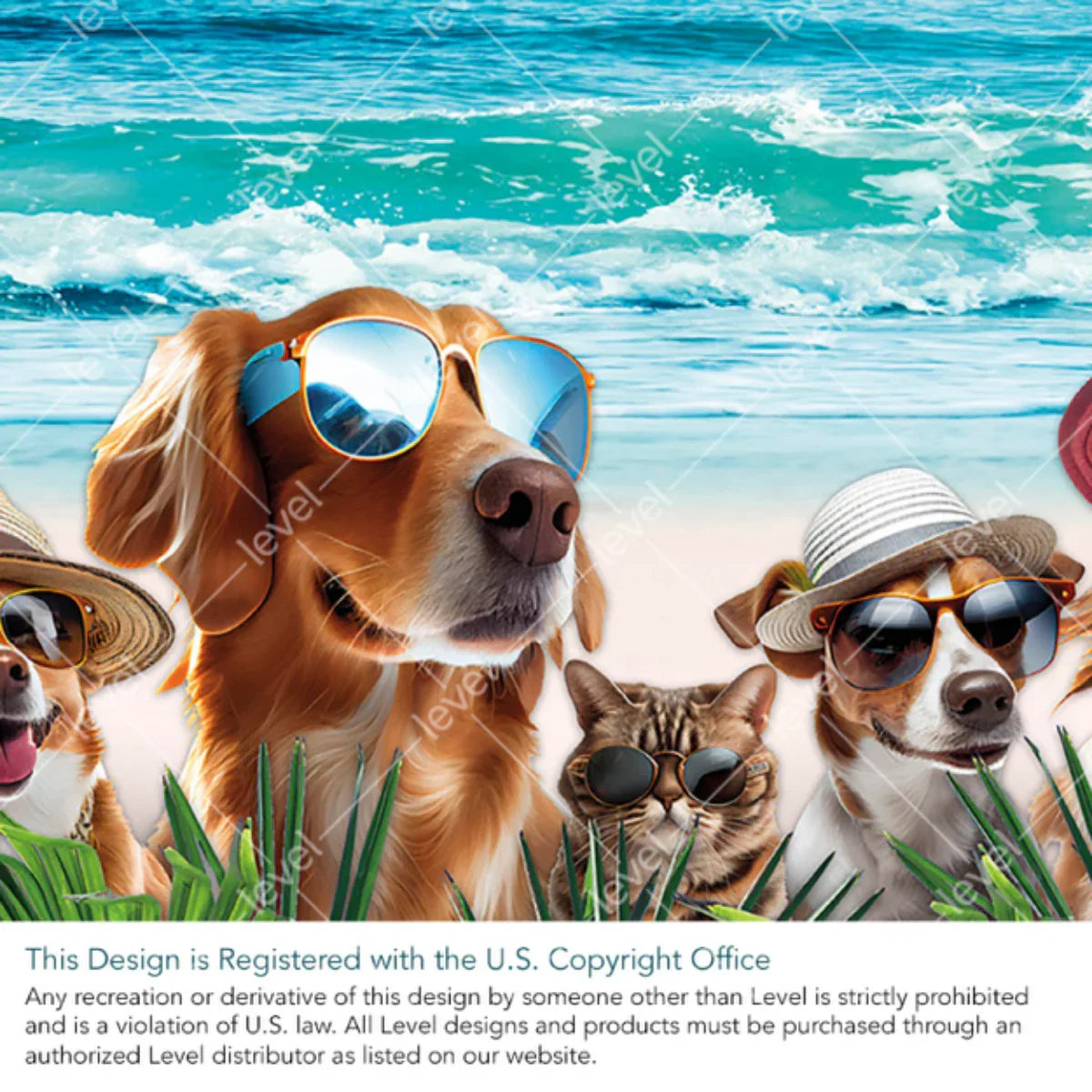 Camp Bow Wow