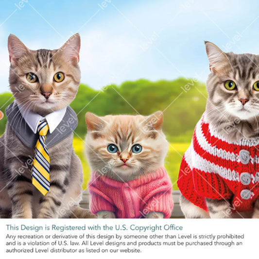 Camp Meow