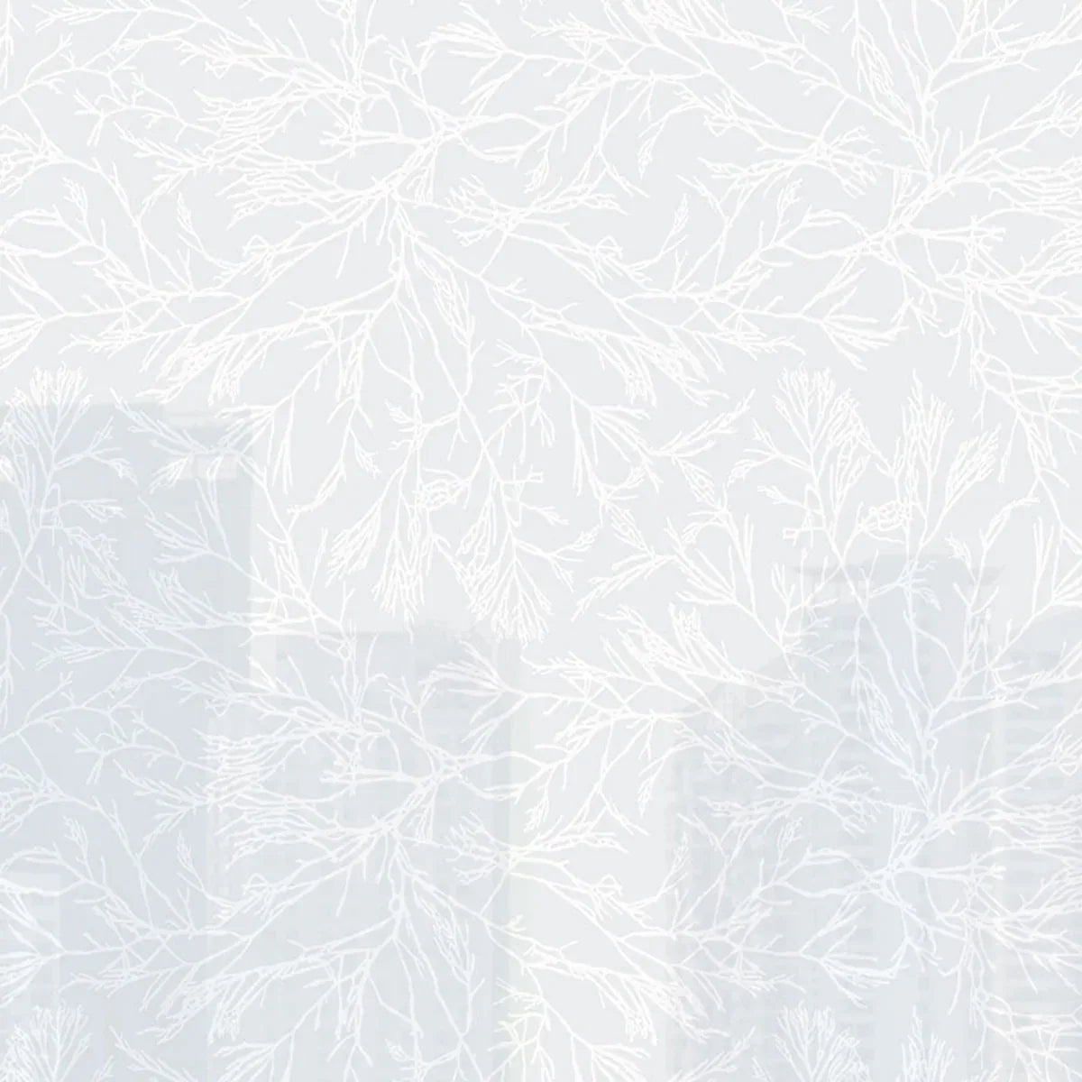 Canyon Willow