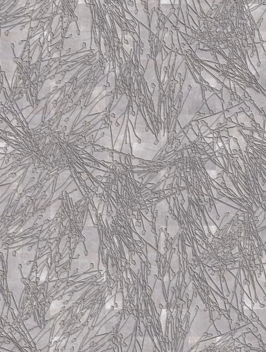Centaurea Pressed in Silver
