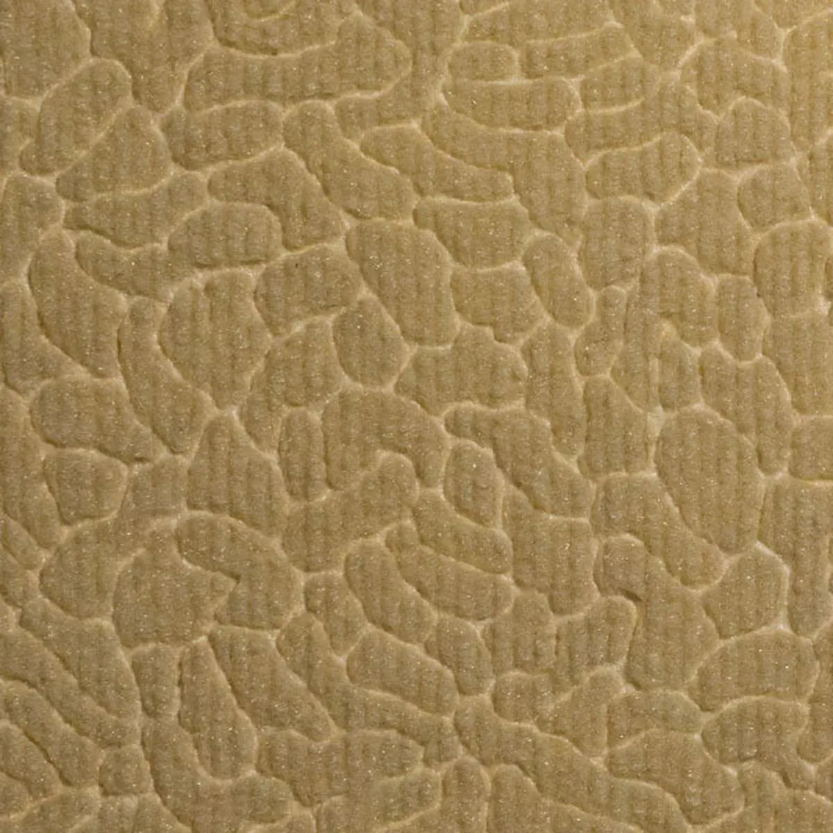 Cream AS-424-06