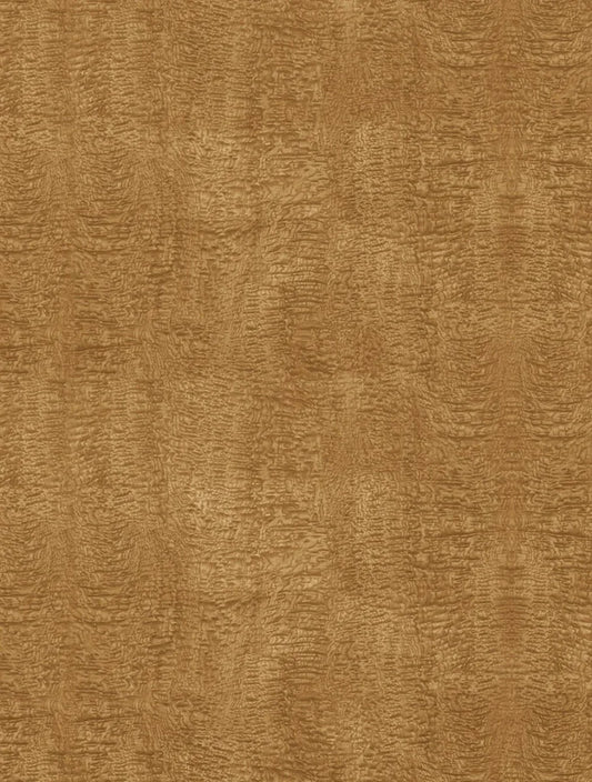 Curly Maple