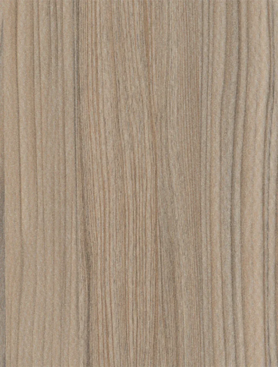 Cypress Camel – Surface Materials