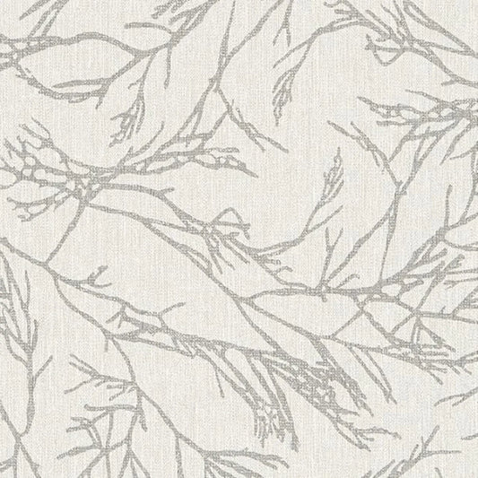 Canyon Willow