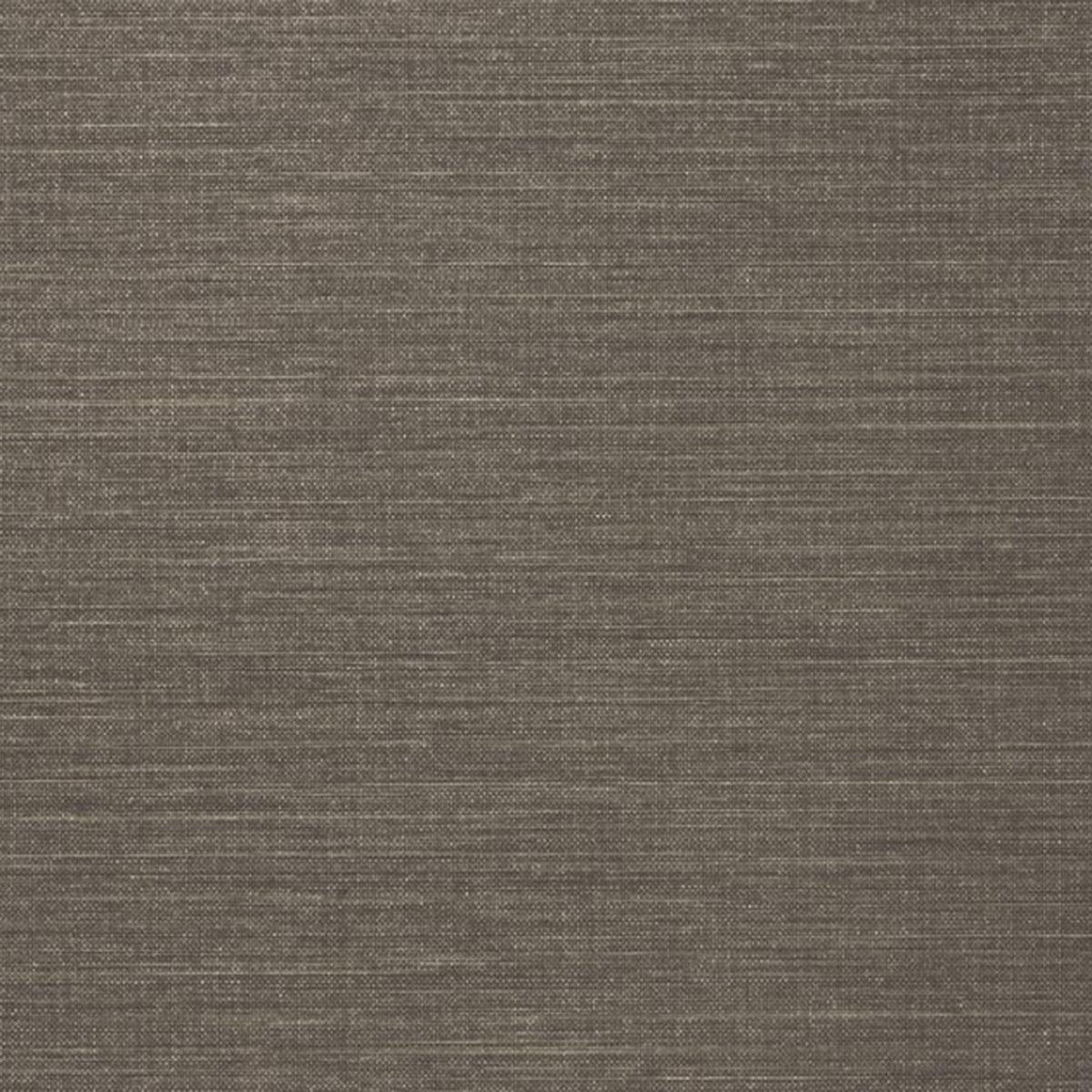 Spartina