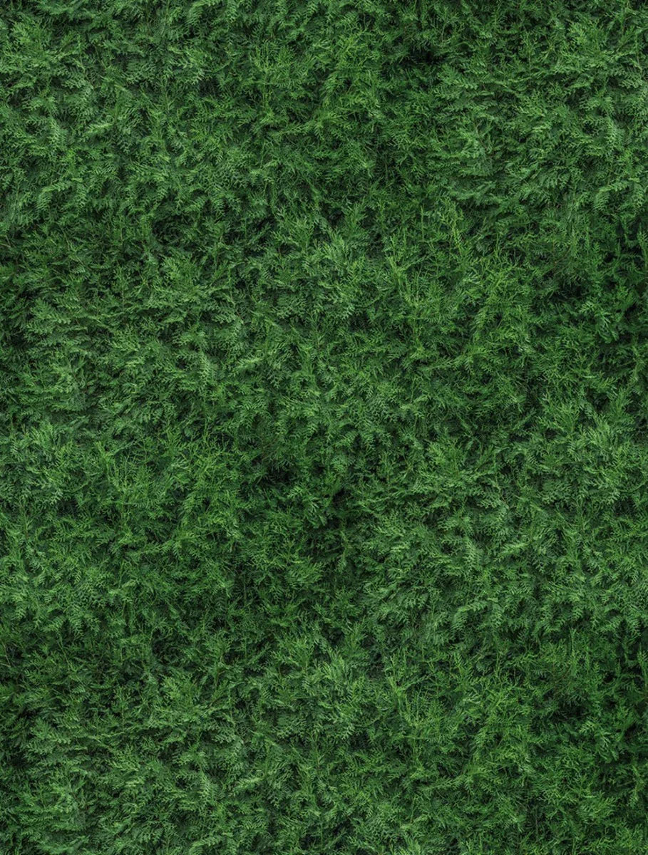 Evergreen Boughs