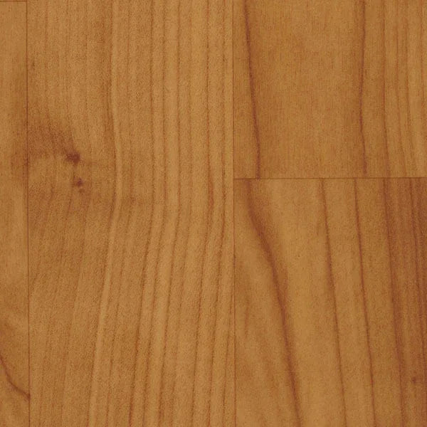 Evolution Wood