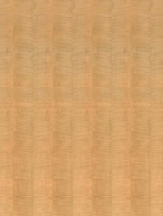 Fiddleback Maple Light