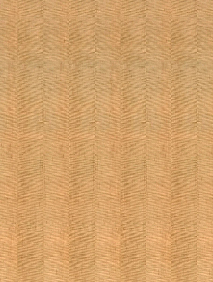 Fiddleback Maple Light
