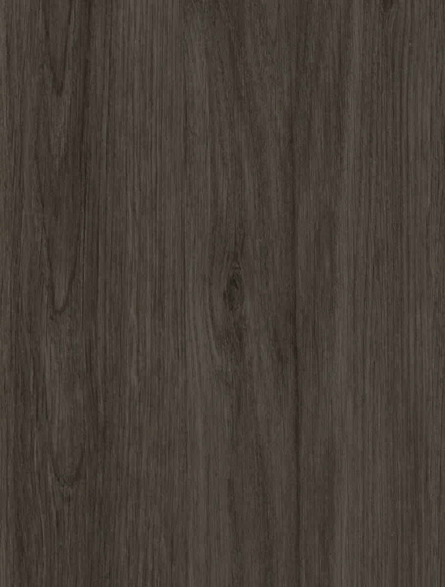 Gibraltar Oak