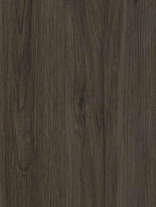 Gibraltar Oak