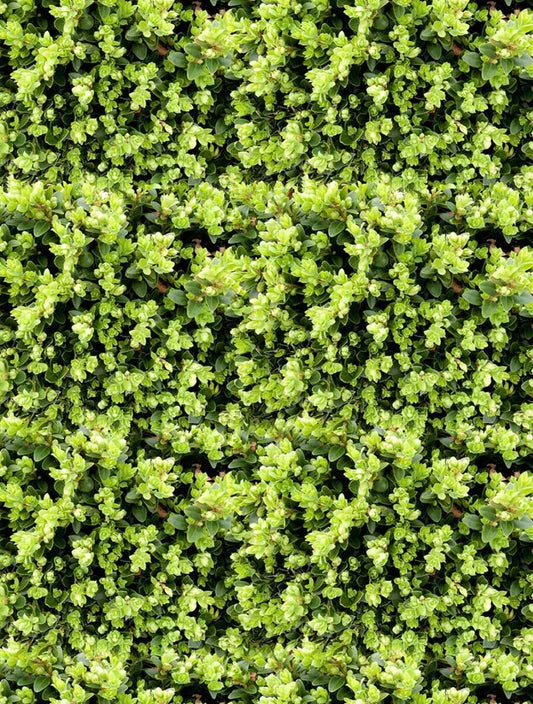 Greenery Wall