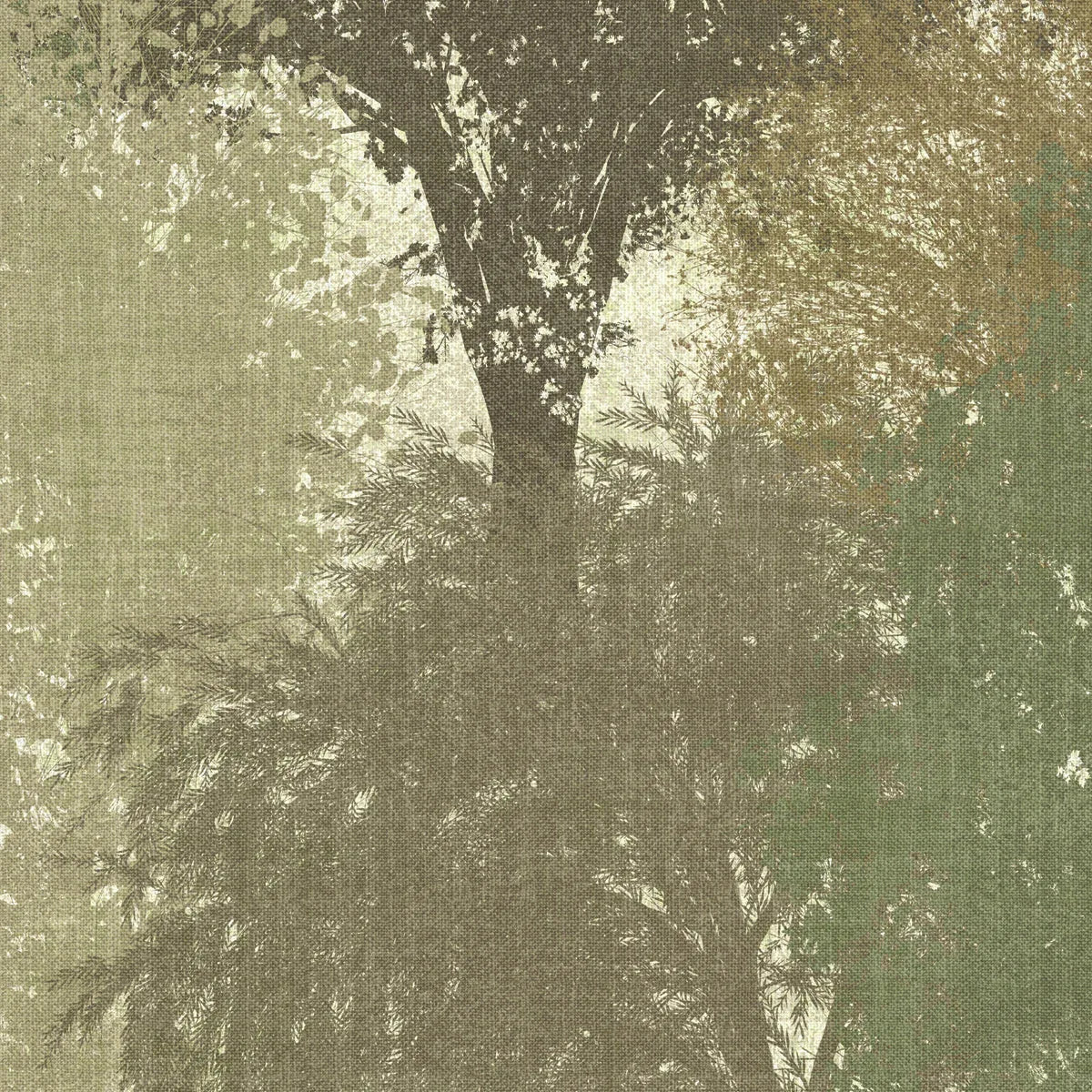 Into the Woods