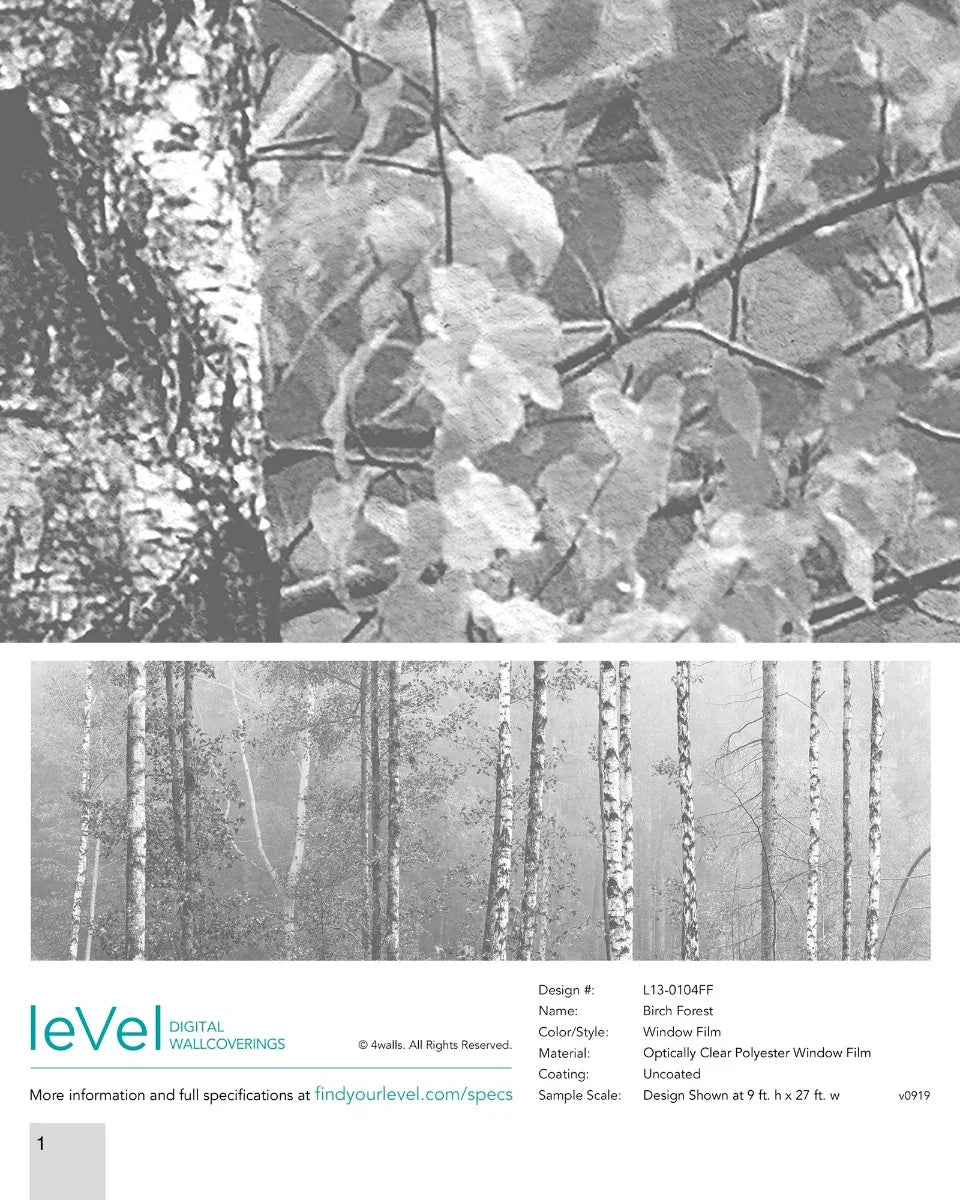 Birch Forest Window Film