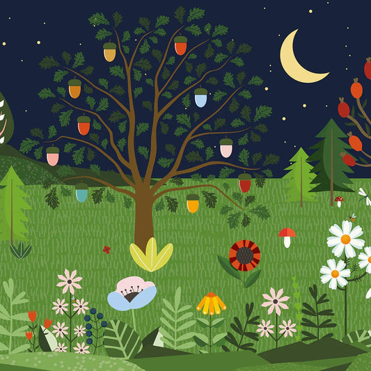 Enchanted Forest