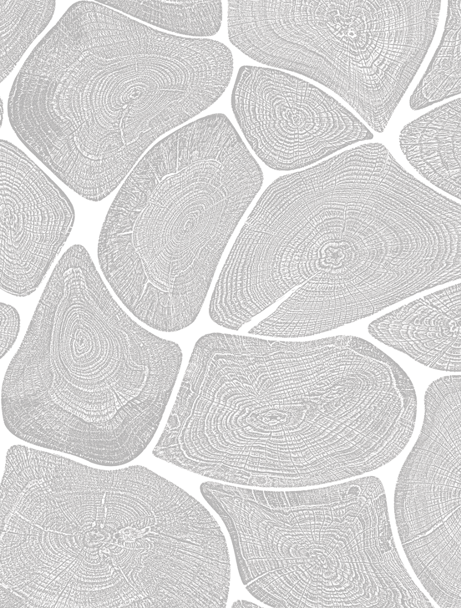 Tree Rings Window Film