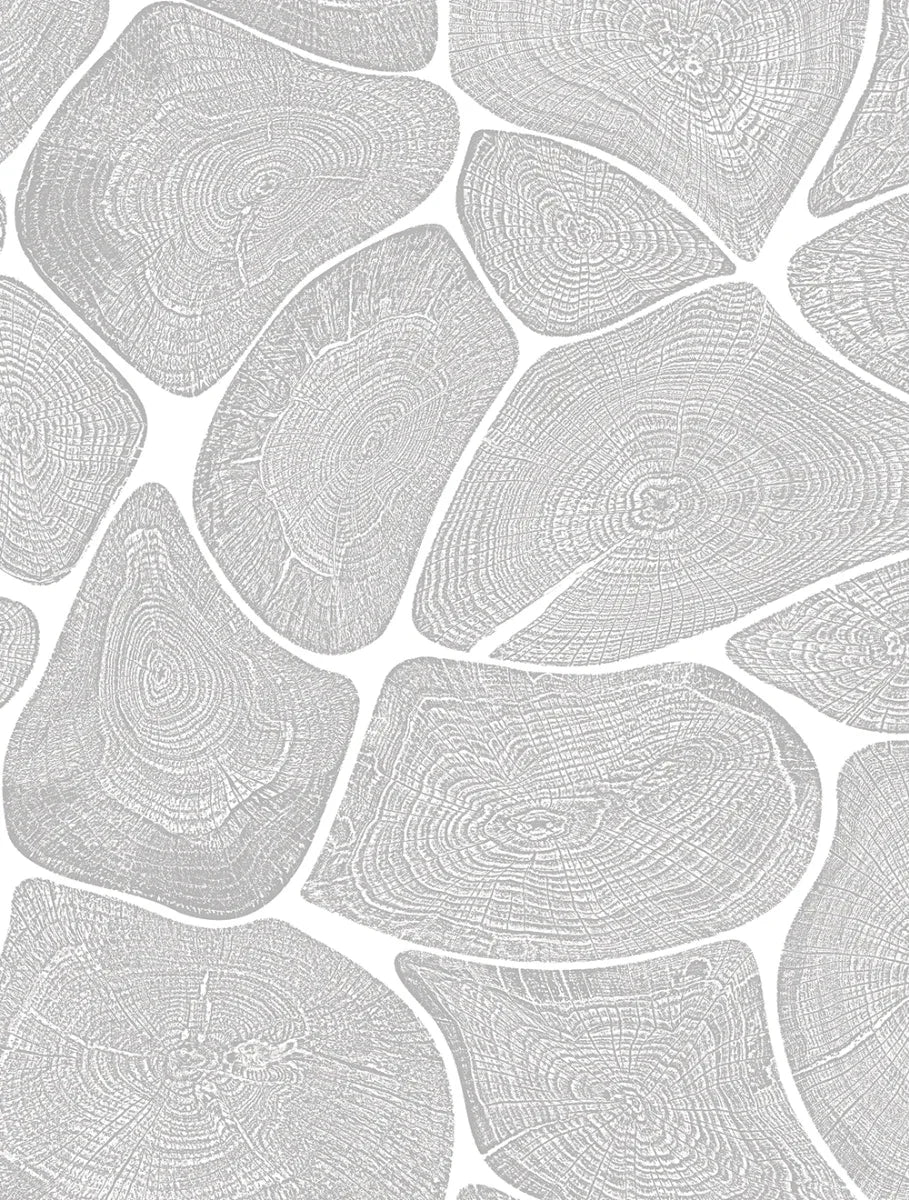 Tree Rings Window Film