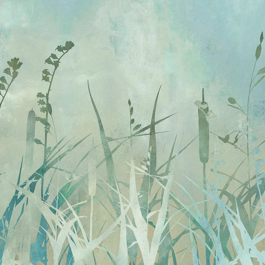 Cat Tails