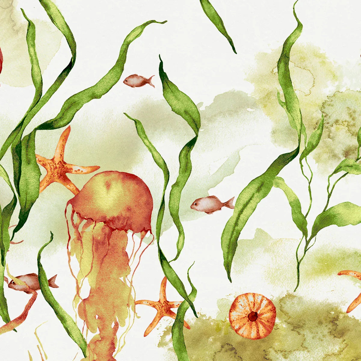 Jellyfish