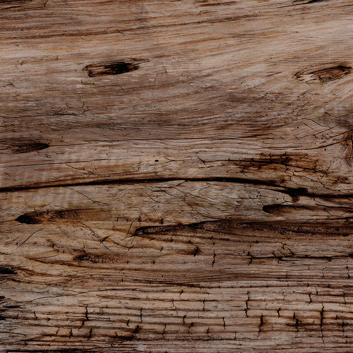 Driftwood