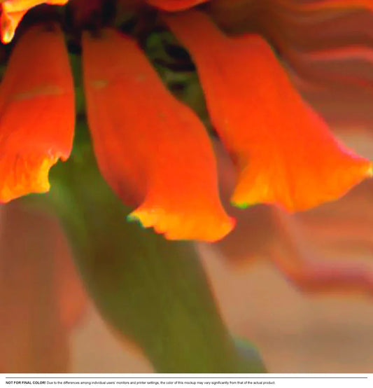 Bloomscape