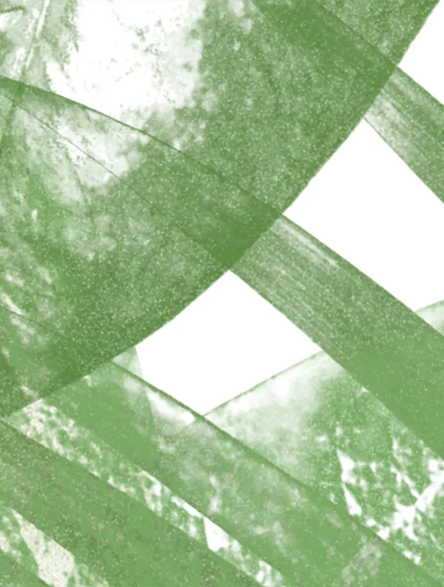 Havana X-Ray Green Window Film