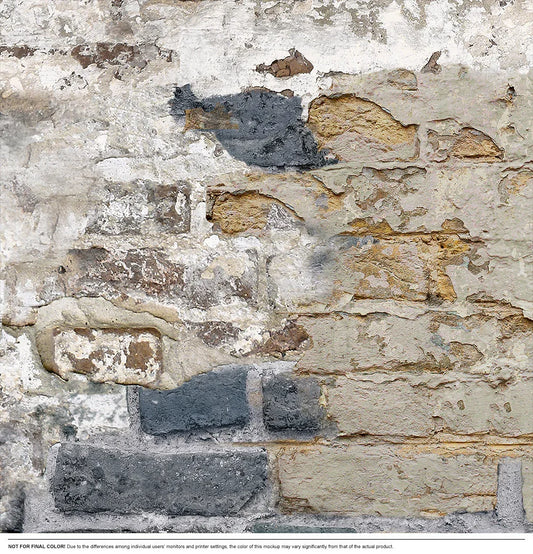 Timeworn Brick