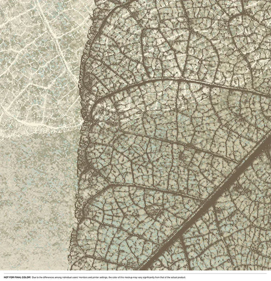 Leaf Shadows