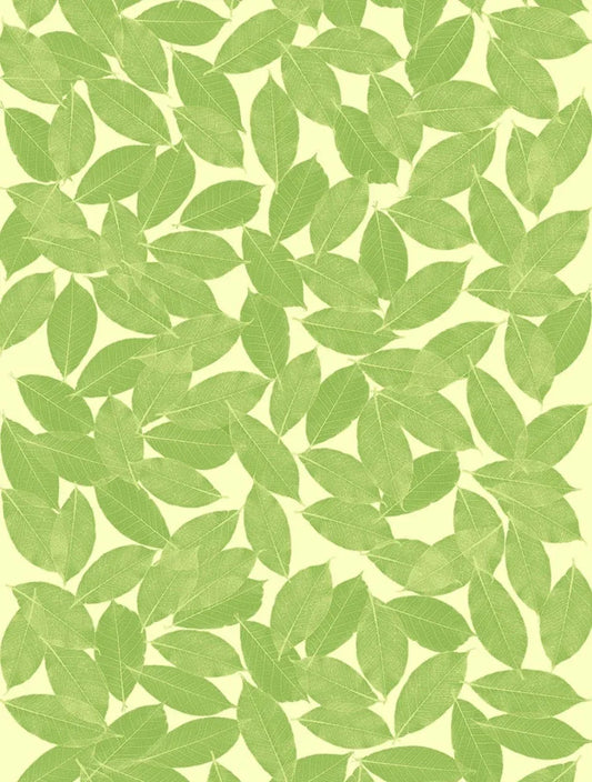 Leaves