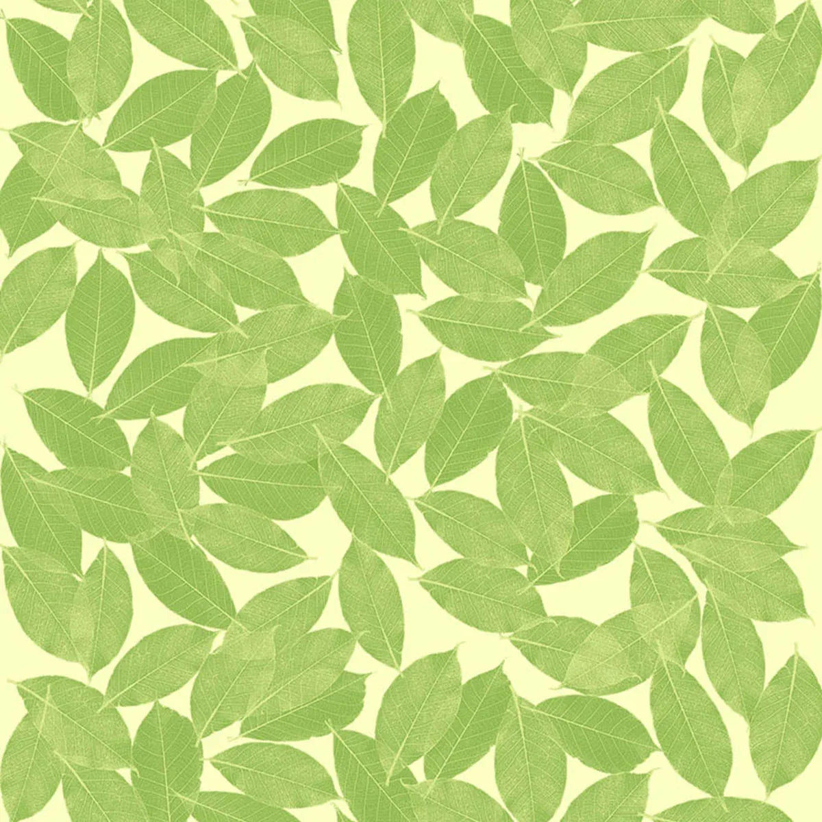 Leaves