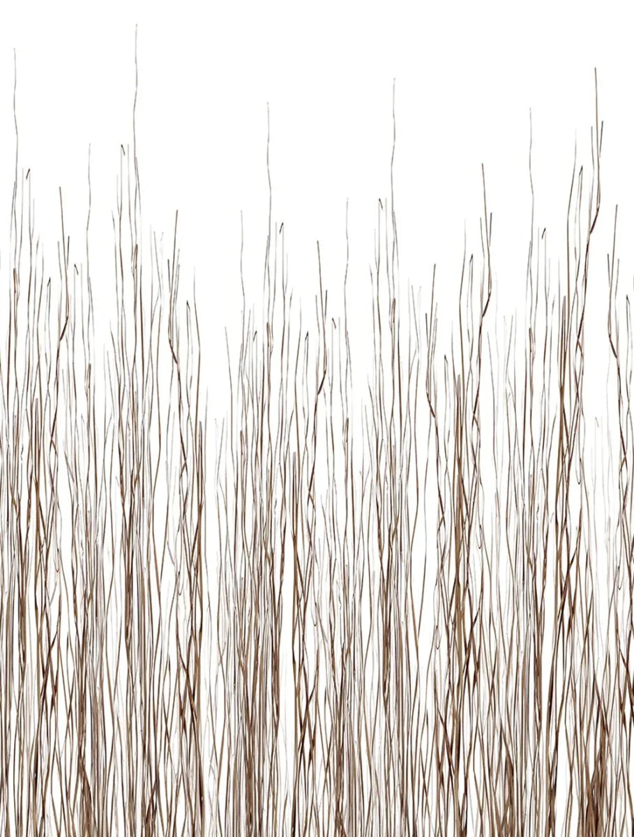 Long Grass