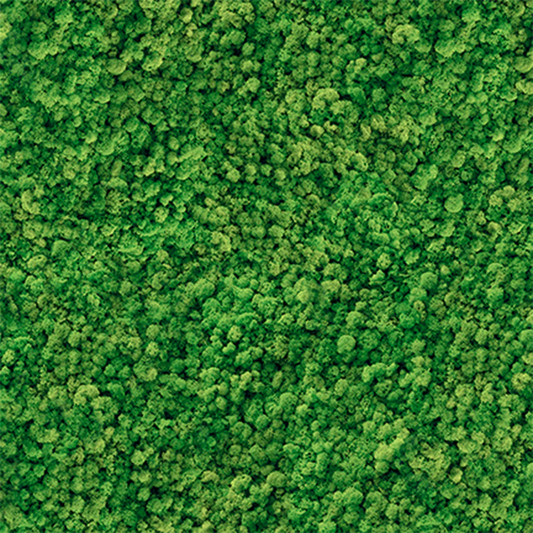 Living Wall