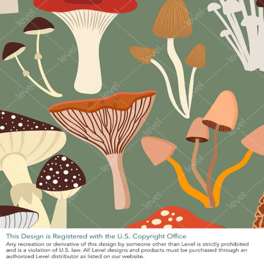Magic Mushrooms